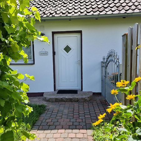 Reppenstedt Feel-Good Apartment Close To The City מראה חיצוני תמונה